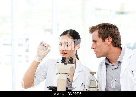 Scientists looking at a slide under a microscope Stock Photo