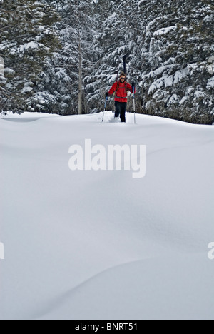 In search of fresh tracks, a young man hikes through knee-deep snow after a night of snowfall, in Lake Tahoe, Nevada. Stock Photo