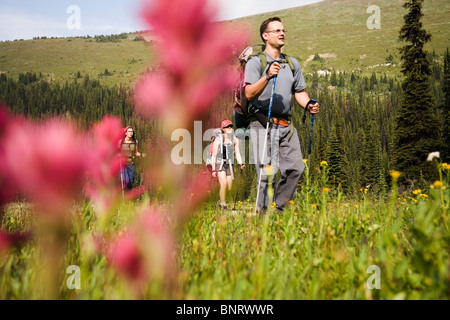 Selective focus, low angle view of a group of hikers in the Purcell Mountains, seen through red Indian Paintbrush wildflowers. Stock Photo