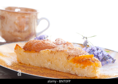 Cottage cheese pie with apricots.