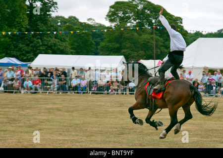 Cossack display horse riding team showing their skills and horsemanship Stock Photo