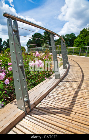 The futuristic walk way above the new Rose Garden in the Savill Gardens, part of the Royal Landscape, near Windsor, England, UK Stock Photo