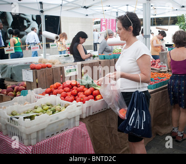 Customers shop at the Rockefeller Center Greenmarket in New York on Friday, July 30, 2010. (© Richard B. Levine) Stock Photo