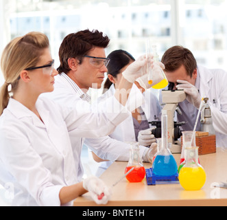 Scientists working in a laboratory Stock Photo
