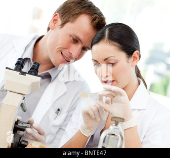 Scientists looking at a slide under a microscope Stock Photo