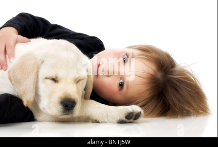 Child with sleeping Labrador retriever puppy Stock Photo