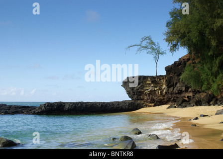 A beach scenic shot featuring lava rocks, a beautiful lone tree, sand and surf.  A literal paradise on earth. Stock Photo