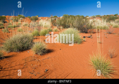 Arid desert landscape of central Australia. Lasseter Highway, Northern Territory, AUSTRALIA. Stock Photo