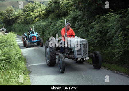 Ferguson TE20 Vintage Tractor Stock Photo