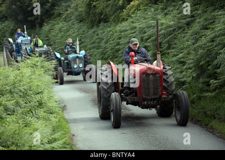 Vintage Tractor Rally Stock Photo