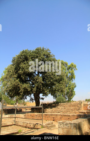 Israel, Upper Galilee, the High Place in Tel Dan Stock Photo