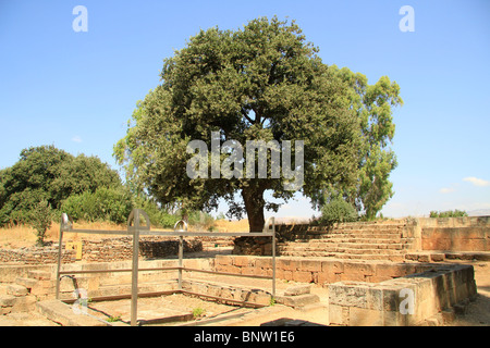 Israel, Upper Galilee, the High Place in Tel Dan Stock Photo