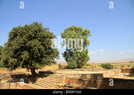 Israel, Upper Galilee, the High Place in Tel Dan Stock Photo