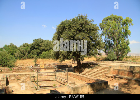 Israel, Upper Galilee, the High Place in Tel Dan Stock Photo