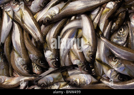 Raw fish on display in market Stock Photo