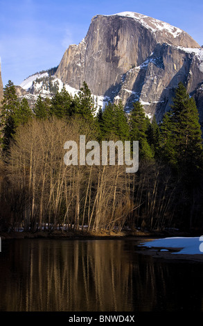 Late afternoon winter light on cottonwoods with Half Dome and Merced River, Yosemite National Park, California, USA.