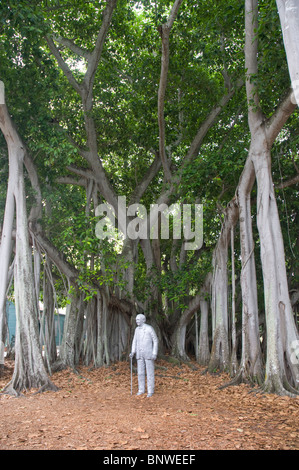 Statue of Thomas Edison under the massive Banyan tree at his former home in Fort Myers Florida Stock Photo