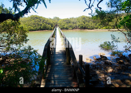 Wooden bridge through Mangroves, the Waitangi Treaty Grounds, near Russell, Bay of Islands, New Zealand. Stock Photo