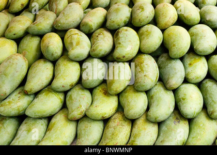 Green mangoes Stock Photo