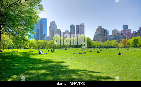 Great lawn in Central Park Stock Photo