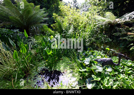 Typical garden, with lots of flowers, some tropical, Guernsey, Channel Islands, UK, Europe Stock Photo