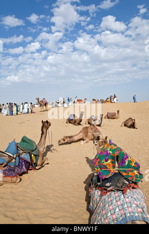 Camels and people at Sam Sand Dunes. Near Jaisalmer. Rajasthan. India Stock Photo