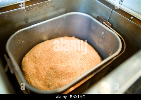 A homemade wholemeal bread made with the bread maker machine still in the oven Stock Photo