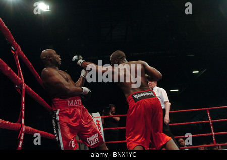 Heavyweight Danny Williams beats Matt Skelton in their first meeting at the ExCel Arena in London UK Stock Photo