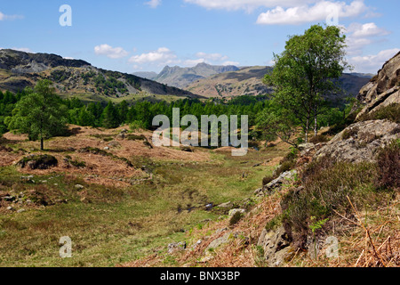 The Langdale Pikes from Holme Fell near Coniston in the Lake District National Park, Cumbria. Stock Photo