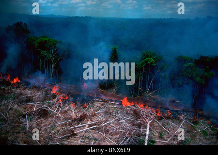 Rain forest afire at Jarí Forestal, Pará, Brazil. Stock Photo