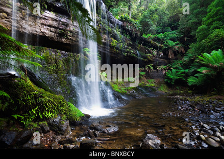 Russell Falls in Mt Field National Park, Tasmania, AUSTRALIA Stock Photo