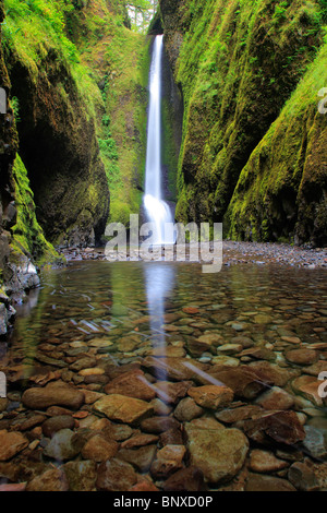Lower Oneonta Falls in Oneonta Gorge is in the Columbia River Gorge, Oregon Stock Photo
