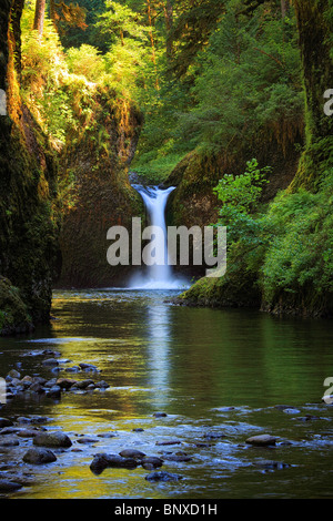 Punchbowl Falls on Eagle Creek, Oregon Stock Photo