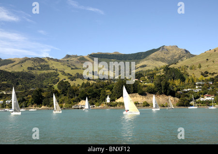 Yachts Off Akaroa New Zealand Stock Photo