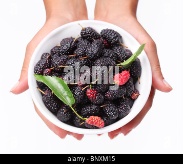Crockery with mulberries in woman hands. Isolated on a white. Stock Photo