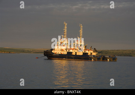 Tugs, Milford Haven, Pembrokeshire, Wales, UK, Europe Stock Photo