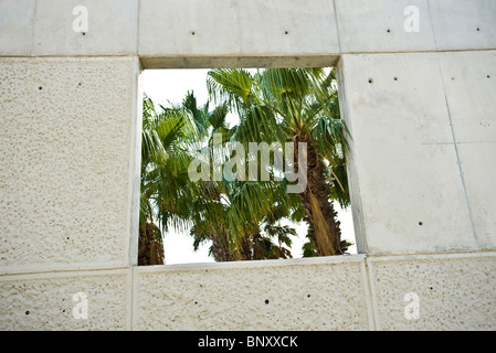 Palm tree seen through cut-out in wall Stock Photo