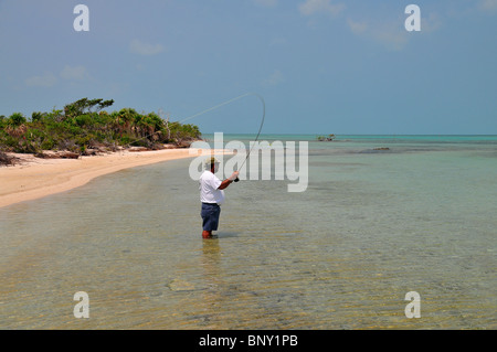 A Caribbean fly fisherman casts the beautiful flats for bonefish and permit near Cayo Espanto in Belize. Stock Photo