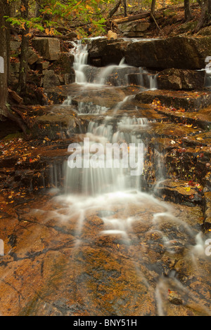 Waterfalls on Whitecap Stream, Acadia National Park, Maine, USA Stock ...