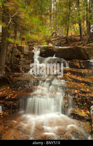 Waterfalls on Whitecap Stream, Acadia National Park, Maine, USA Stock ...