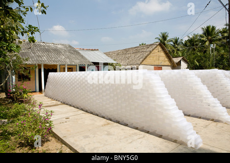 Artisanal production of coconut alcohol, plastic containers used for fermenting in the sun Stock Photo