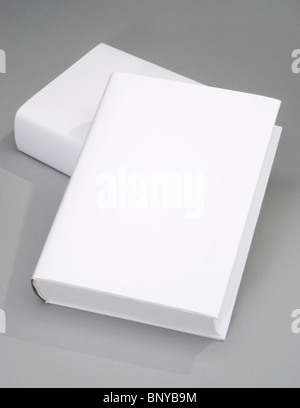 Two thick blank book with white cover Stock Photo
