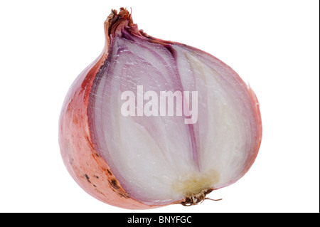 object on white - food Yellow onion close up Stock Photo