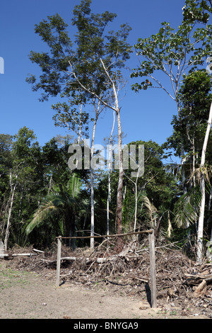 Wooden goalposts on football pitch in area of deforestation for settlement near Rurrenabaque , Bolivia Stock Photo