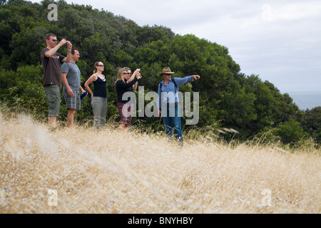 Tour group walking the Cape to Cape track.  Leeuwin-Naturaliste National Park. Margaret River, Western Australia, AUSTRALIA. Stock Photo