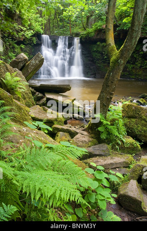 Goit Stock Falls waterfall at Harden on the outskirts of The City Of Bradford West Yorkshire UK Stock Photo