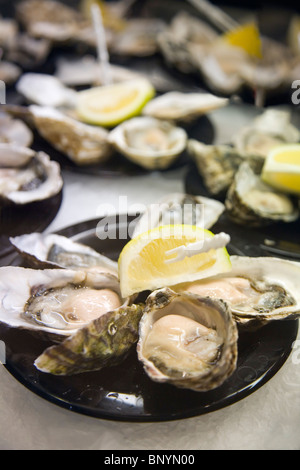 Plates of fresh oysters ready for eating at the Sydney Fish Market. Sydney, New South Wales, AUSTRALIA Stock Photo