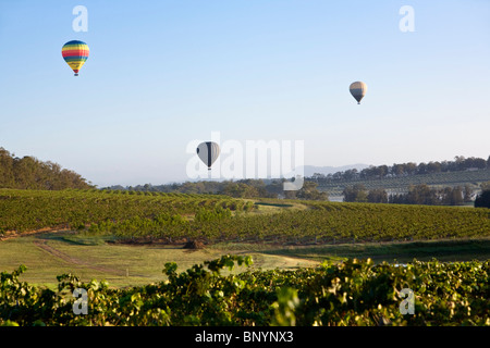 Hot air balloons flying over the vineyards. Hunter Valley, New South Wales, AUSTRALIA Stock Photo