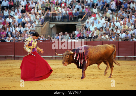 Spanish matador Luis Vilches at the Real Maestranza bullring, Seville, Spain Stock Photo