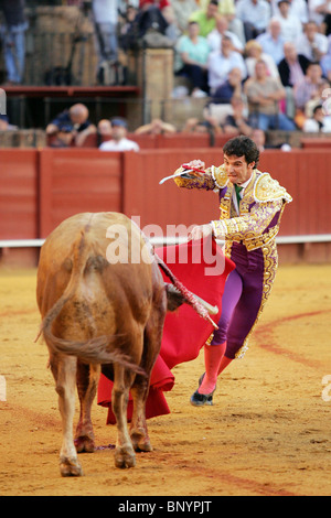 Spanish matador Luis Vilches at the Real Maestranza bullring, Seville, Spain Stock Photo